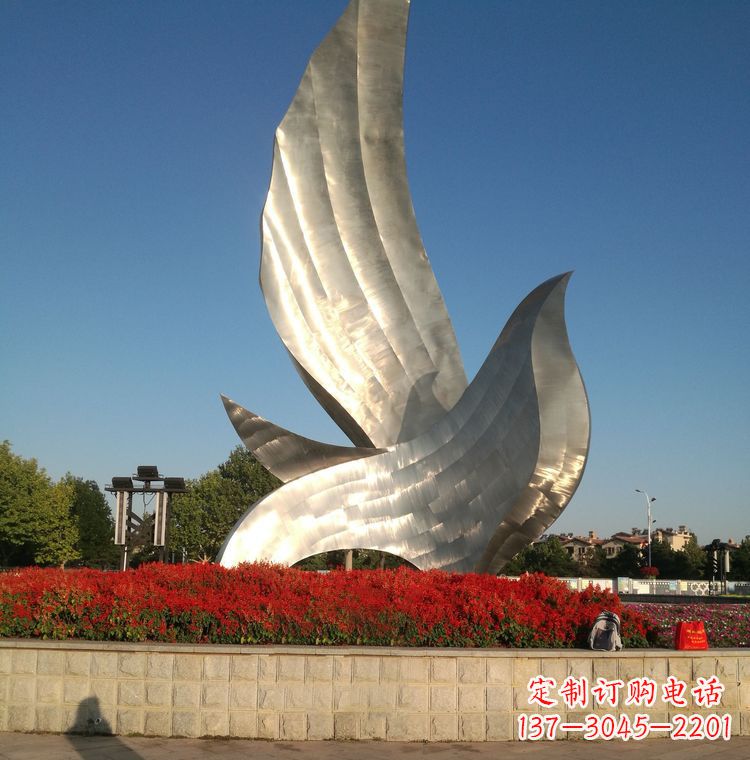 常州“鸽子之恋”——让爱飞翔