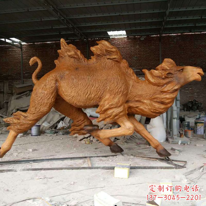 常州活力四射的骆驼