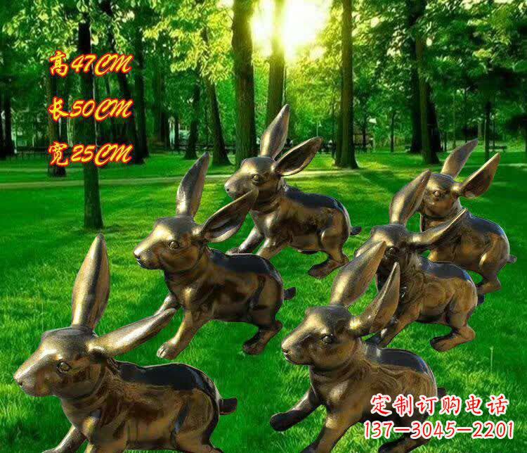 常州兔子雕塑——激情活力的象征