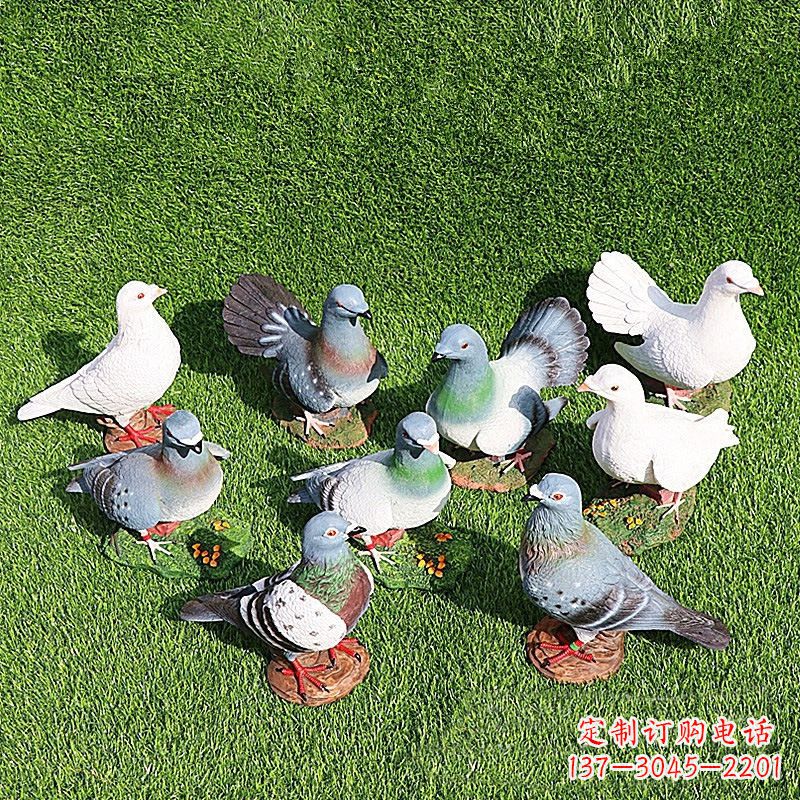常州和平鸽毕加索激发的美好灵感