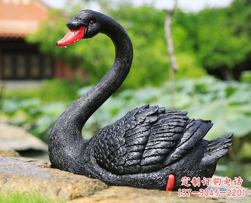 常州玻璃钢雕刻的黑色天鹅——美丽宁静的公园园林摆件