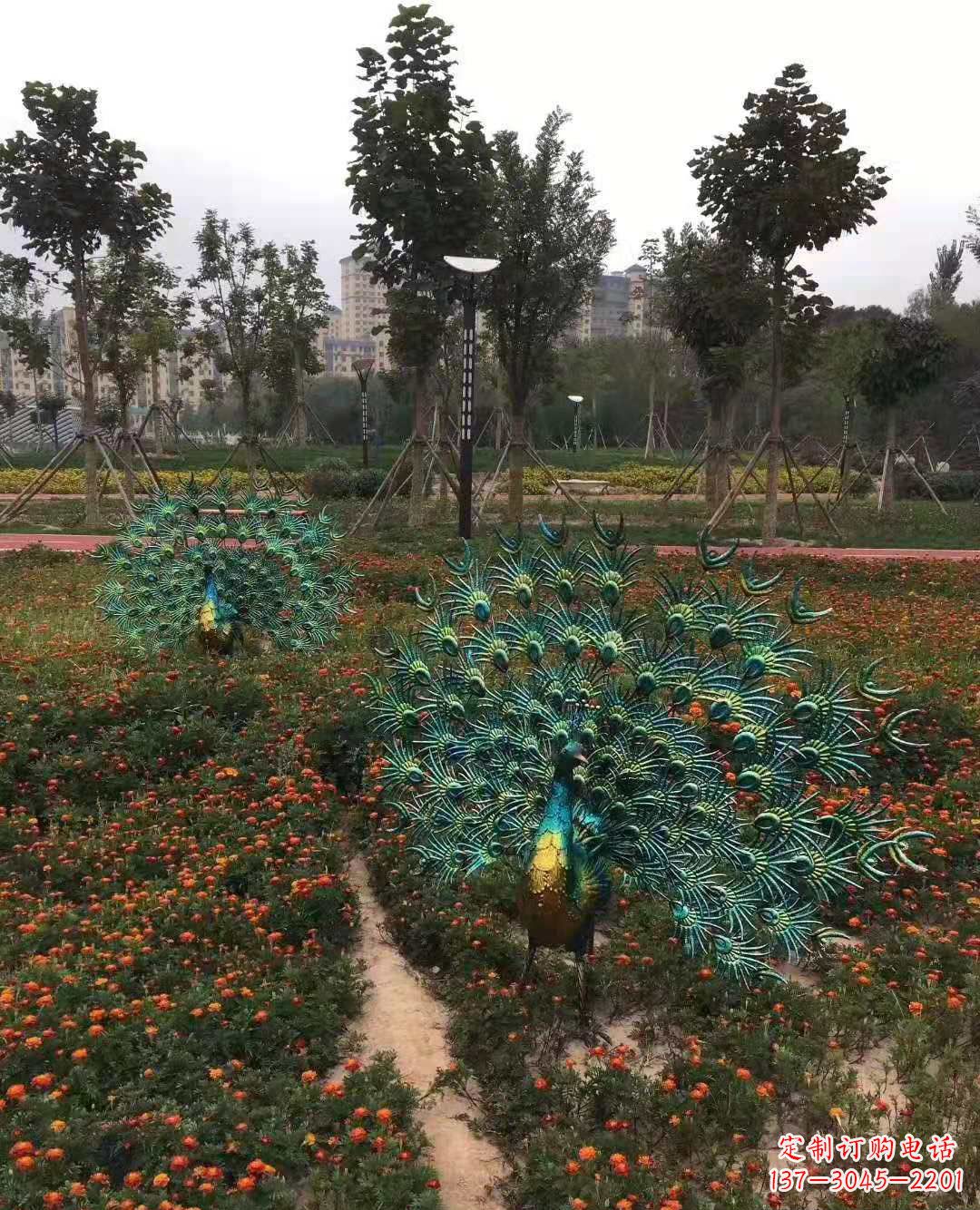 常州不锈钢彩绘孔雀雕塑