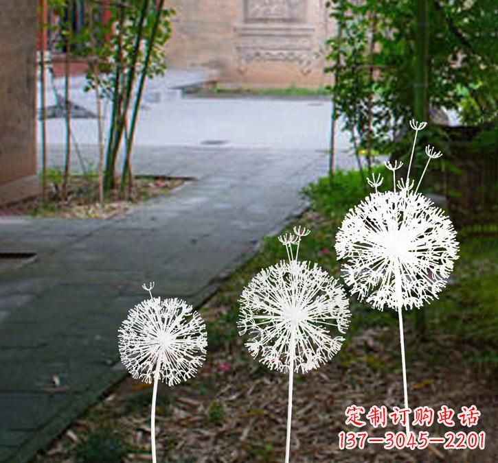常州不锈钢蒲公英点亮城市之美
