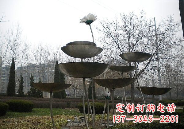 常州不锈钢抽象荷花雕塑