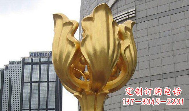 常州不锈钢紫荆花雕塑传承中国文化