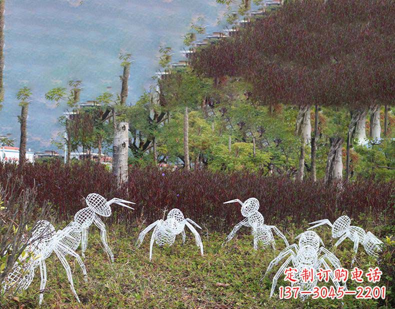 常州不锈钢蚂蚁镂空雕塑