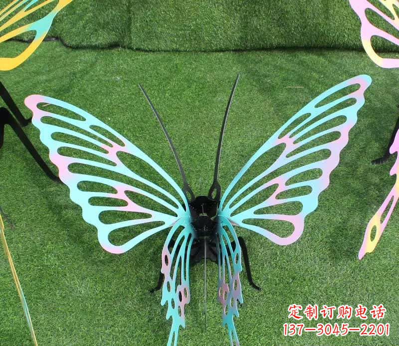 常州彩色不锈钢镂空蝴蝶雕塑