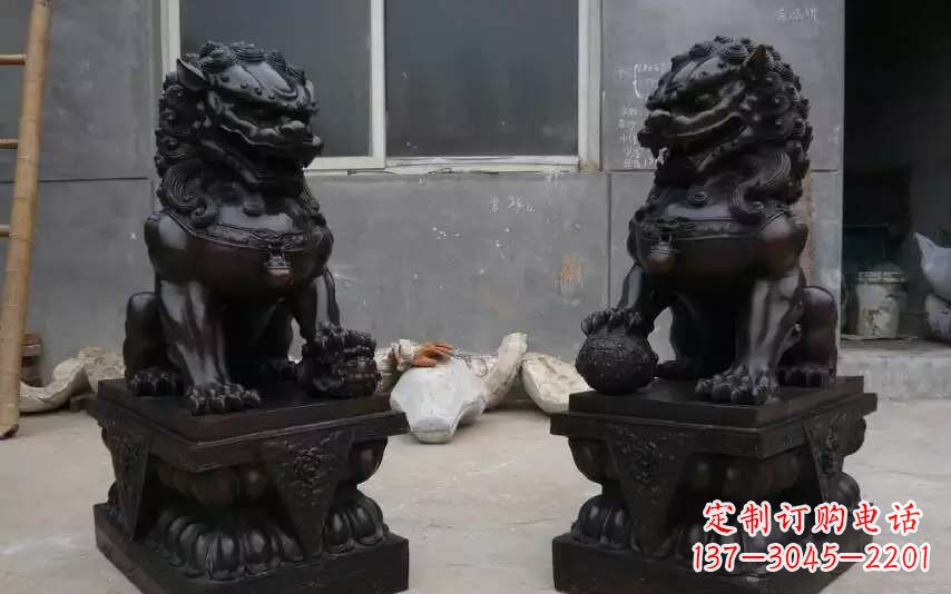 常州踩球镇的狮子之家