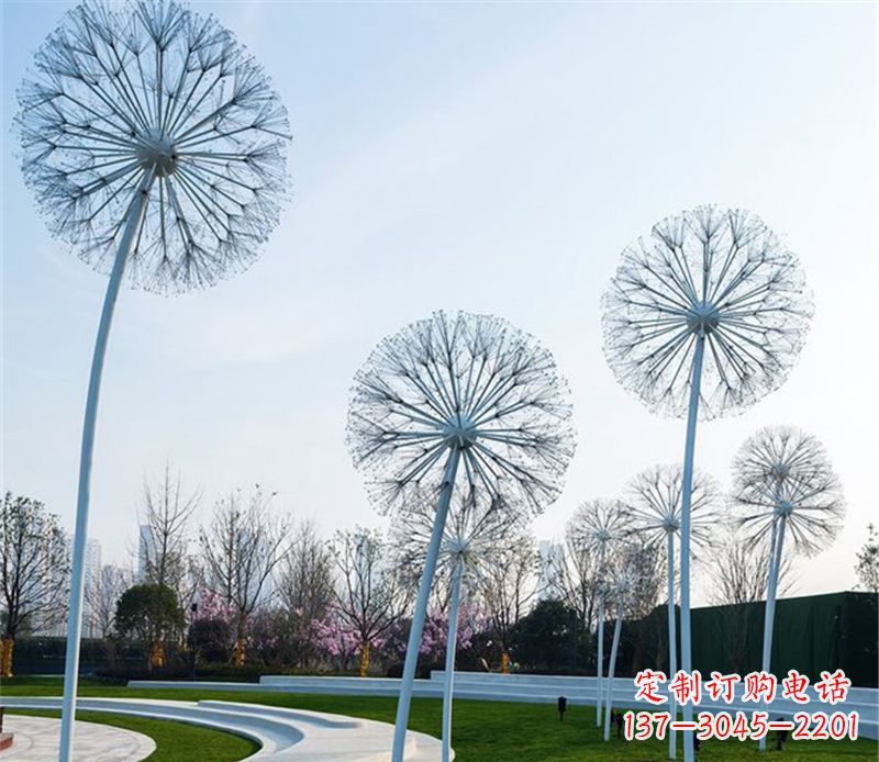 常州不锈钢蒲公英美与力量的结合