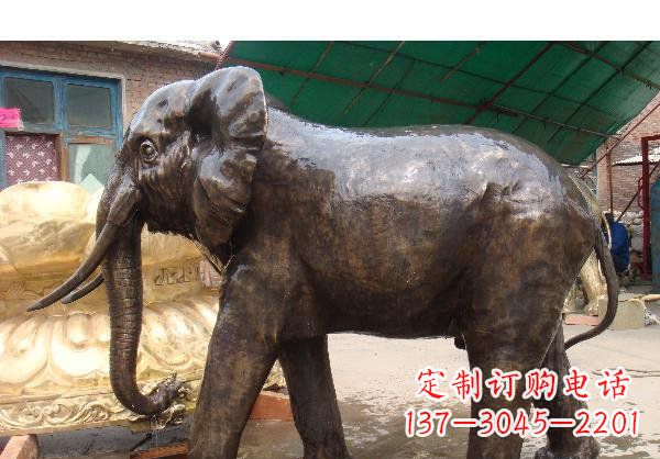 常州精美大象铜雕塑