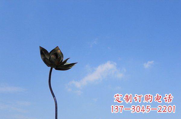 常州公园不锈钢荷花雕塑