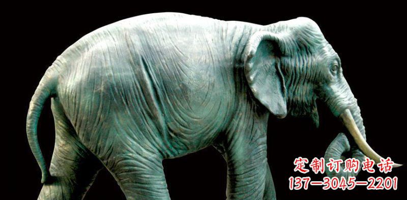 常州铜雕大象——艺术精灵的完美融合