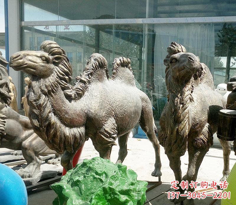 常州公园骆驼动物铜雕 (2)