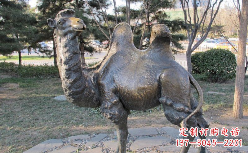 常州公园骆驼动物铜雕 (4)