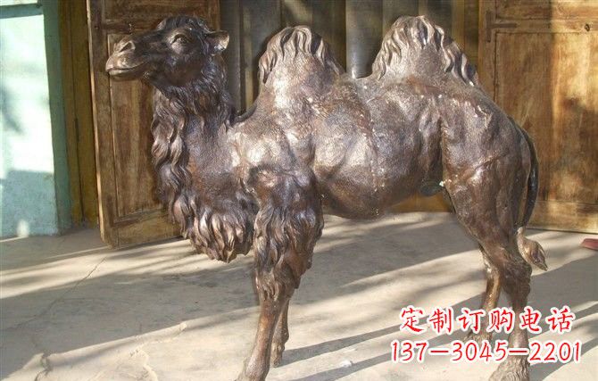 常州静谧与动感并存,宁州中领雕塑定制骆驼铜雕