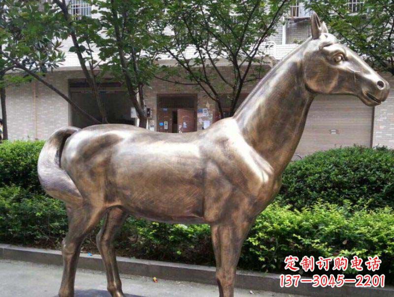 常州公园马动物铜雕 (3)