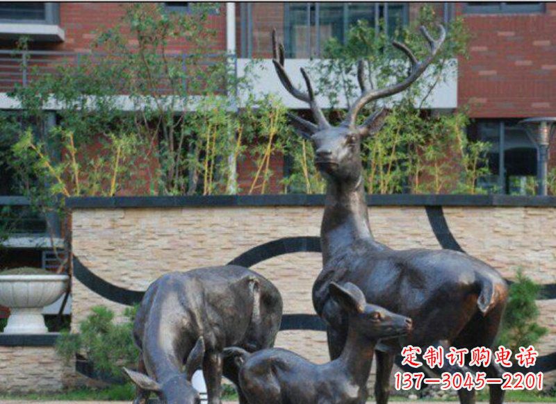 常州古雅优雅的梅花鹿铜雕