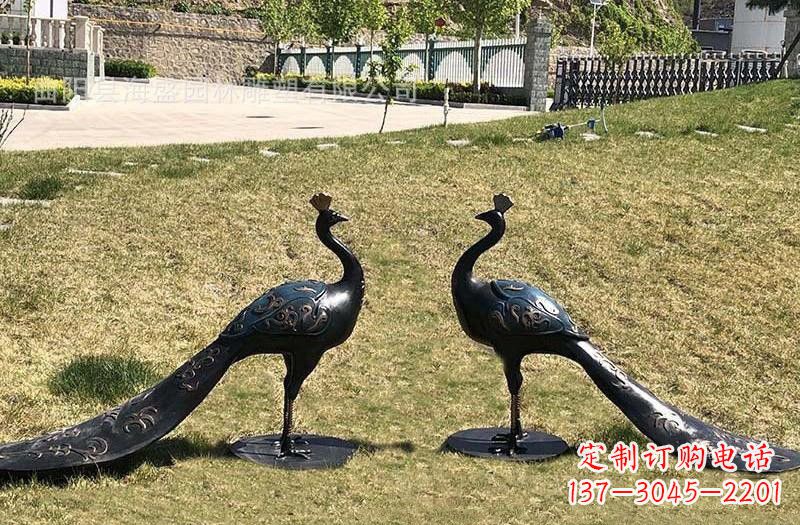 常州公园青铜孔雀雕塑