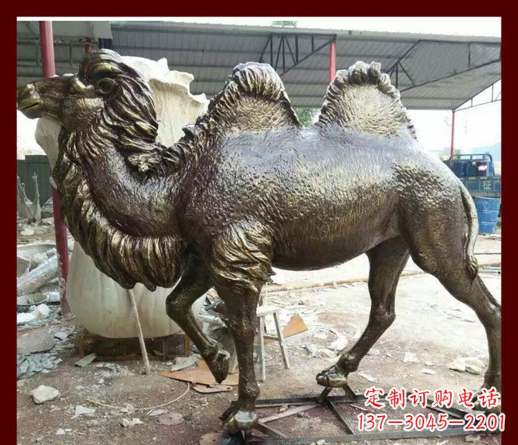 常州双峰骆驼铜雕塑,精美绝伦