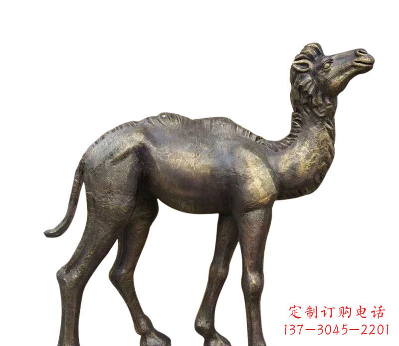 常州奇美洁净的骆驼铜雕