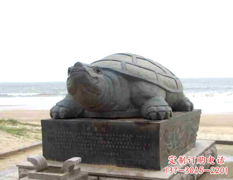 常州时尚精致的乌龟铜雕