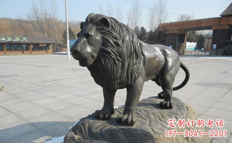 常州中领雕塑推出一款精美的华丽非洲狮铜雕,将…
