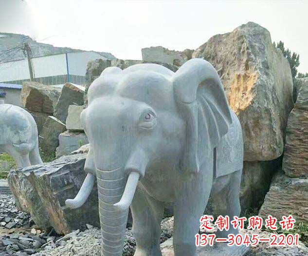 常州广场景观大理石大象石雕 (2)
