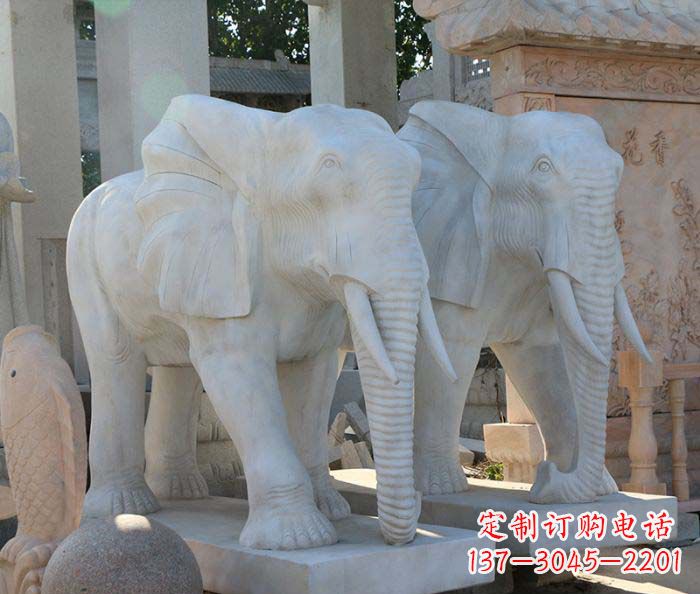 常州广场景观大理石大象石雕 (3)