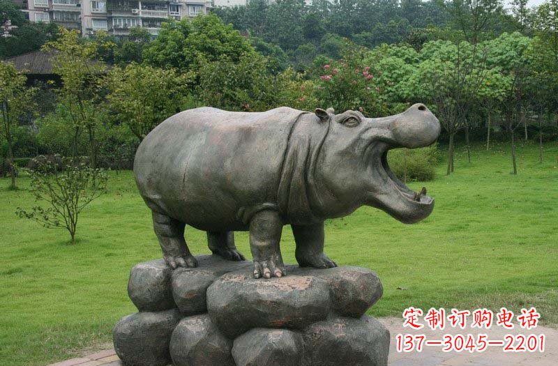 常州海洋动物河马铜雕塑