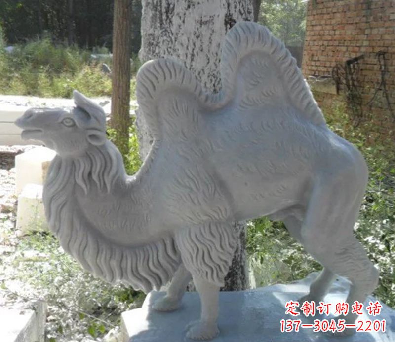常州汉白玉动物骆驼石雕