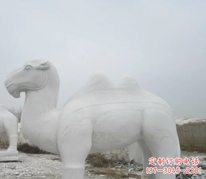 常州汉白玉骆驼石雕塑,装点家居空间