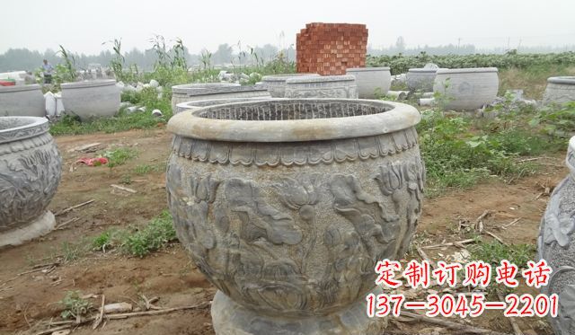常州荷花花盆公园景观石浮雕