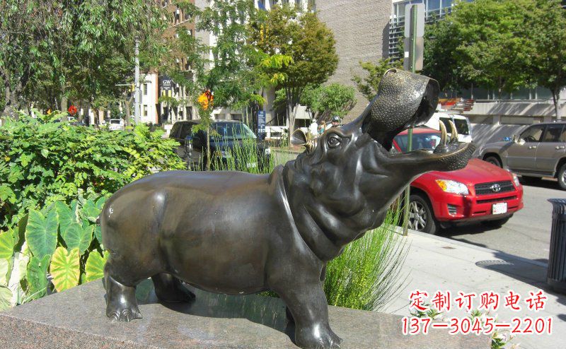 常州街边河马景观铜雕