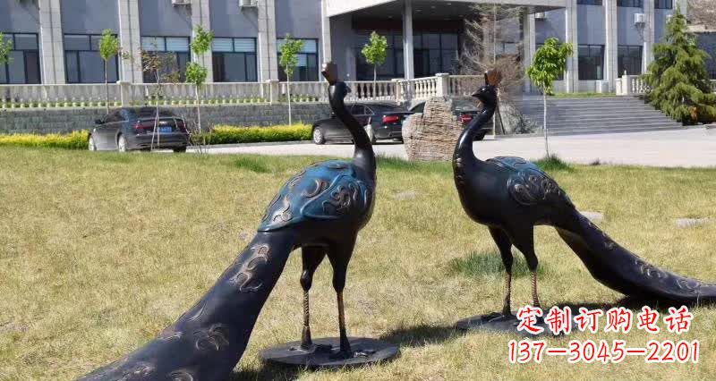常州领雕塑-孔雀铜雕,高雅精美的艺术精品