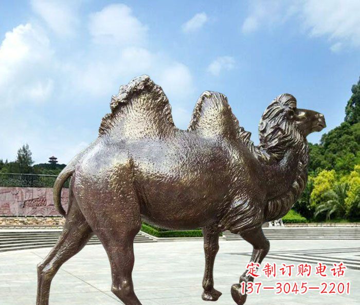 常州欣赏骆驼美感,购买骆驼铜雕