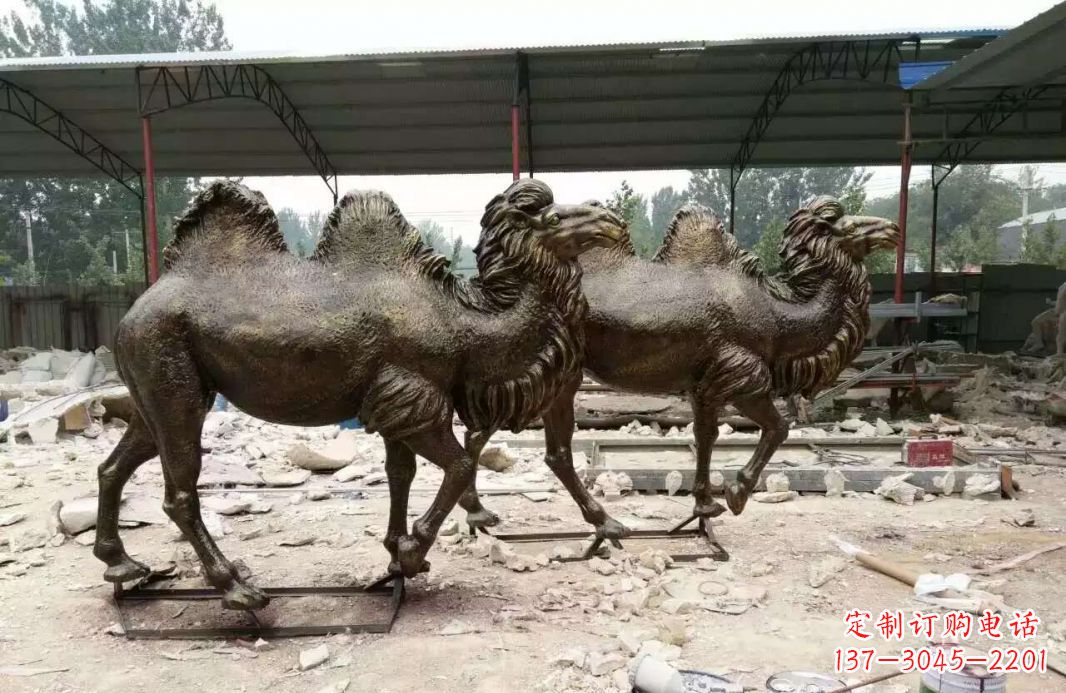 常州欣赏大自然的艺术之作——骆驼铜雕