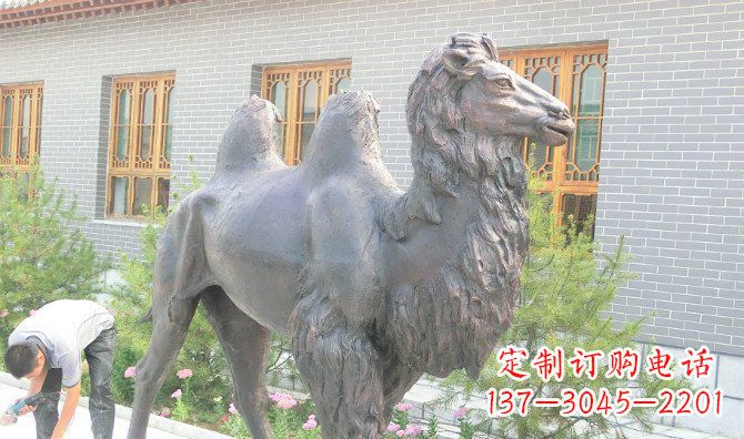 常州精美的骆驼铜雕,提升您的公园气质