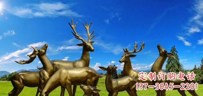 常州梅花鹿铜雕 (2)