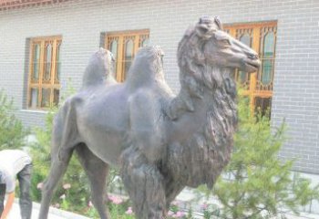 常州精美的骆驼铜雕，提升您的公园气质