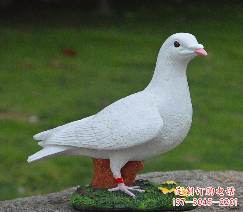 常州美丽的和平鸽雕塑,传递暖暖的正能量