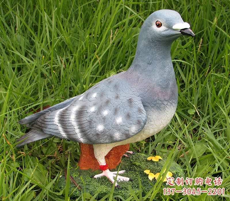 常州专业定制石雕鸽子,精致品质造就美好氛围