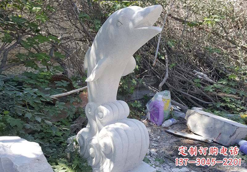 常州海豚雕塑:悠闲无比的精灵