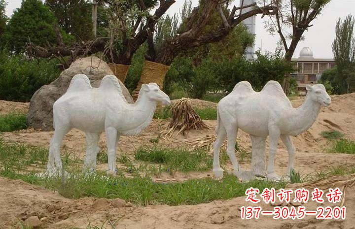 常州欣赏大自然,石雕骆驼公园动物雕塑邀请您