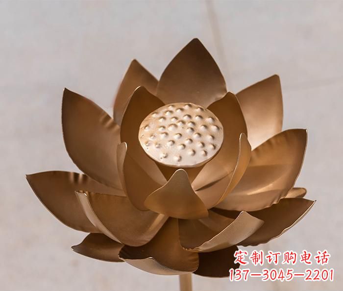 常州铜雕景观荷花