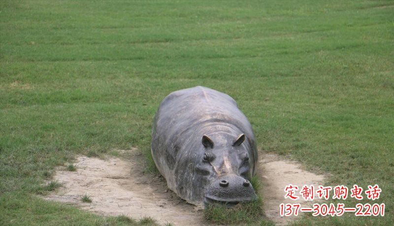 常州铜雕趴着的河马