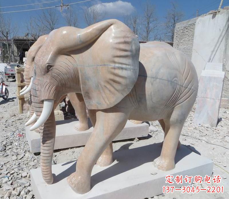 常州晚霞红卷鼻大象