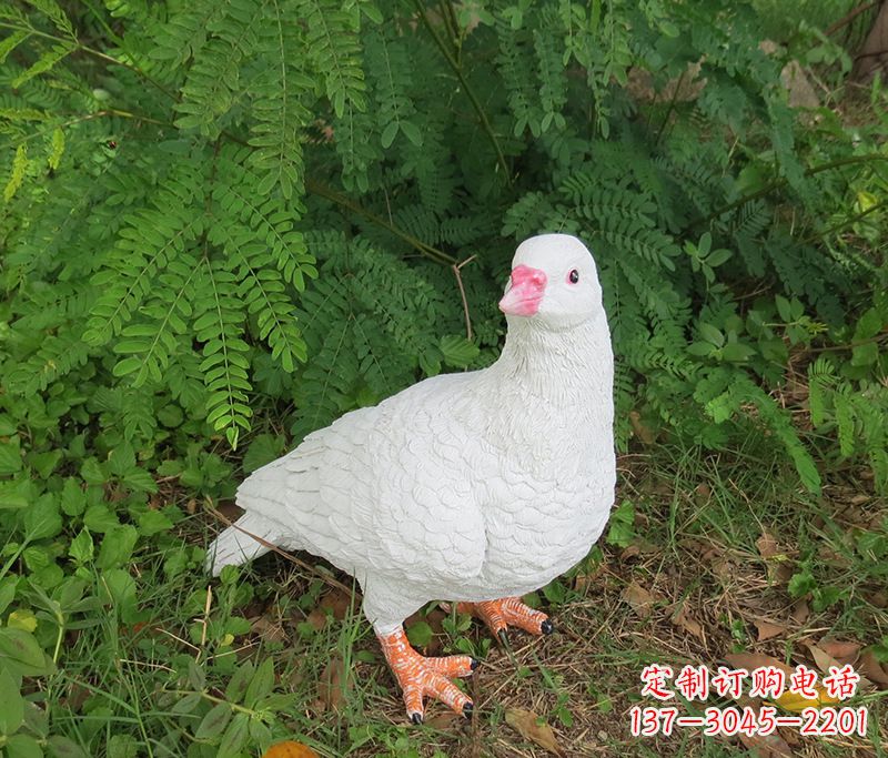 常州潍坊青年路和平鸽灰姑娘雕塑