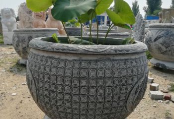 常州荷花鱼石雕塑，精美雕塑展现浪漫情怀