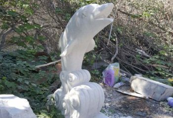 常州海豚雕塑：悠闲无比的精灵