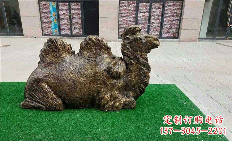 常州卧着的骆驼动物铜雕